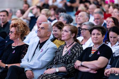 Dan drzˇavnosti, SIDDHARTA-5